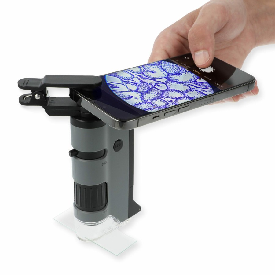 Microscopes Carson | Microflip 100X-250X Led Uv Pocket Microscope With Smartphone Clip