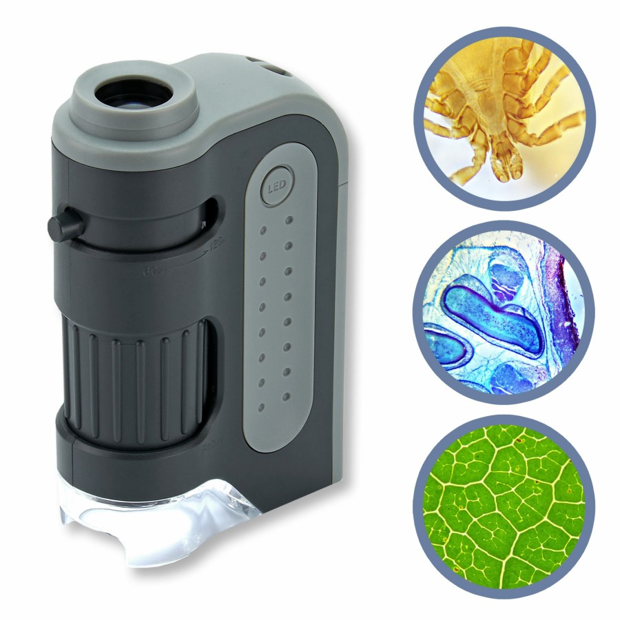 Microscopes Carson | Microbrite Plus 60X-120X Magnification Led Lit Pocket Microscope